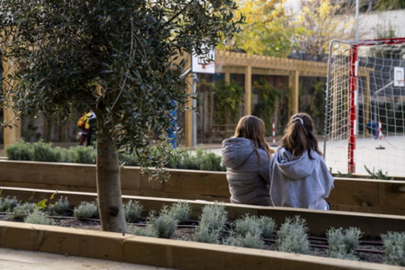School greening: right or privilege? The case of Barcelona