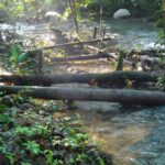 Navigating Implementation Challenges in Mexico’s Payments for Ecosystem Services (PES) Programs