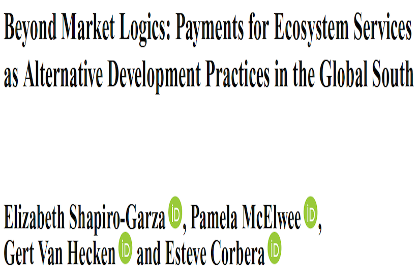 Beyond market logics in PES