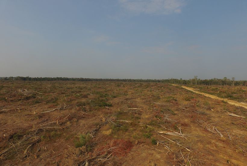 Climate change policies, natural resources and conflict
