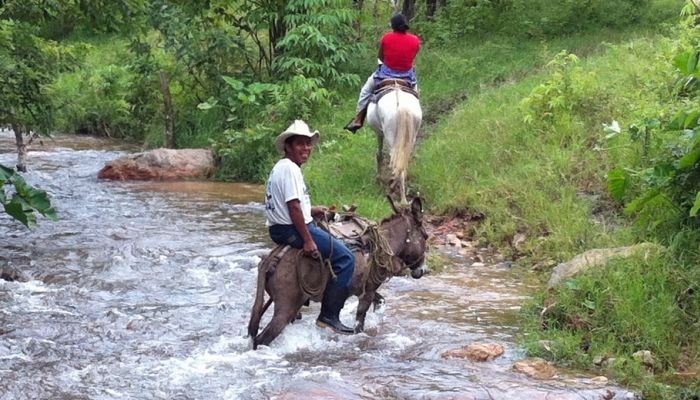 Framing Debates about Poverty Reduction and Ecosystem Services
