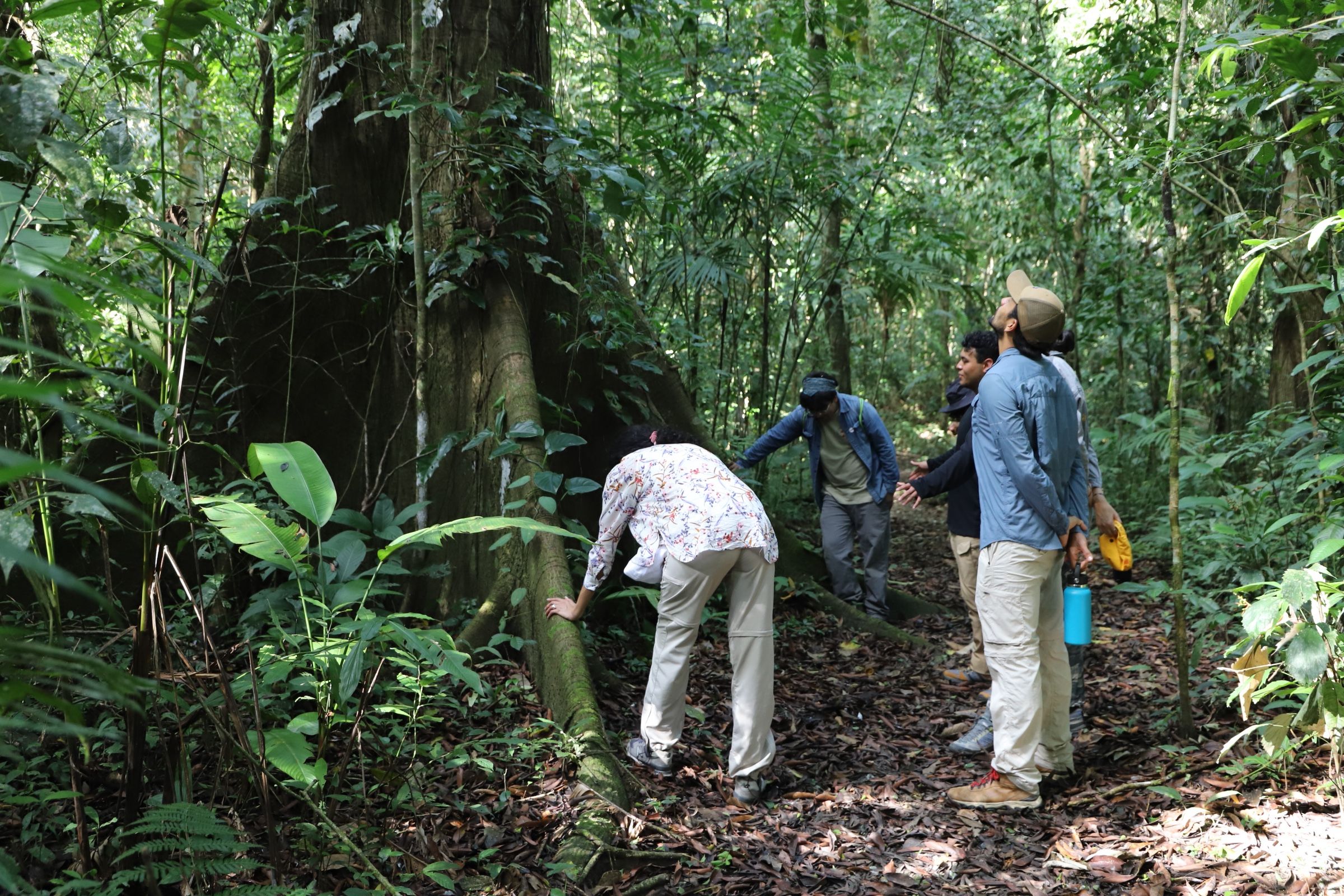 Navigating Implementation Challenges in Mexico’s Payments for Ecosystem Services (PES) Programs