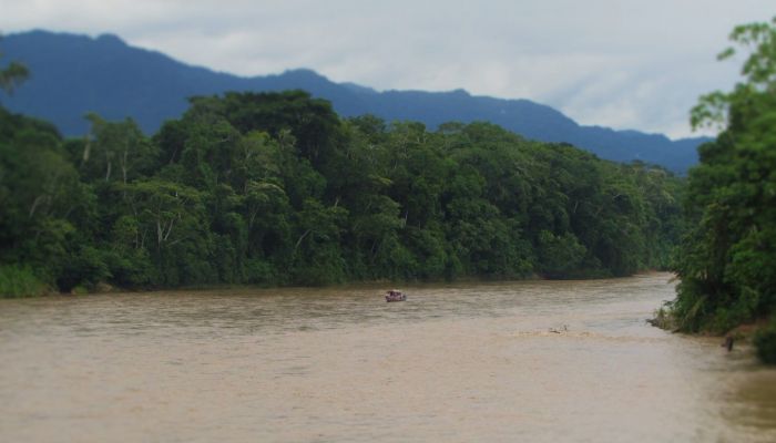 Indigenous land-based stewardship from local to global scales