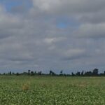 Land-use intensification in forest-agriculture frontier landscapes: effects on ecosystem services and poverty alleviation