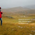 Pastoral Commons in the Montenegrin Mountains and processes of Heritization (COMPAS-MED-PAT)