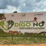 Payments for Ecosystem Services: long-term Effectiveness and Motivations for the conservation of forest ecosystems (PES-EMOTIVE)