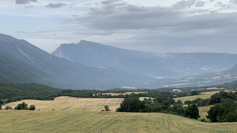 Rethinking European Rural Development policy: taking stock of local collective experiences and theory