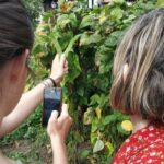 Sharing Traditional Ecological Knowledge (CONECT-e)