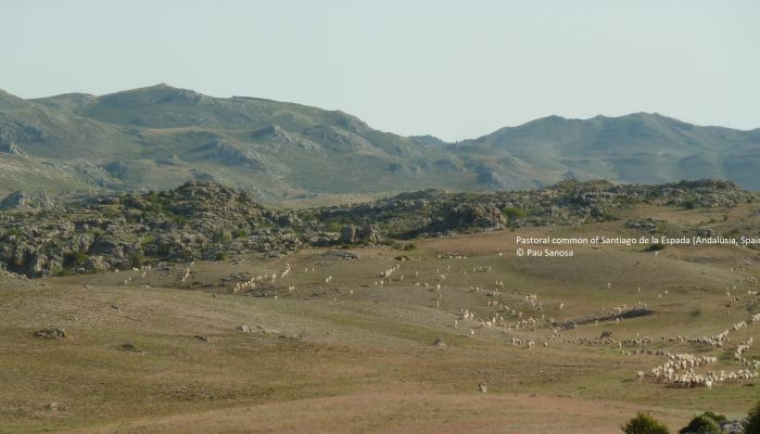 Socio-Ecological Heritization of ICCAs in Spain and Morocco (HERICCA)