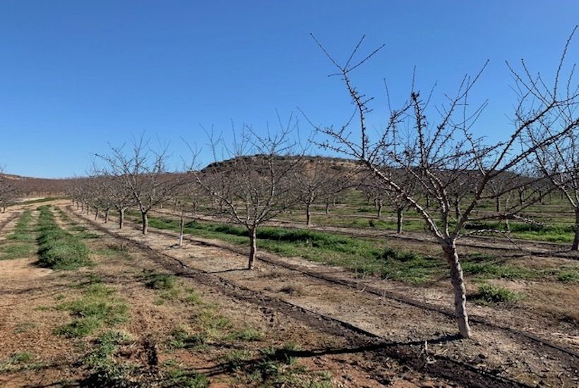 Socio-Environmental Vulnerability in Rural Spain – New project funded by La Caixa Foundation