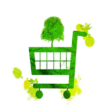 Sustainable Food Public Procurement in Spain: evidence to date and scaling opportunities