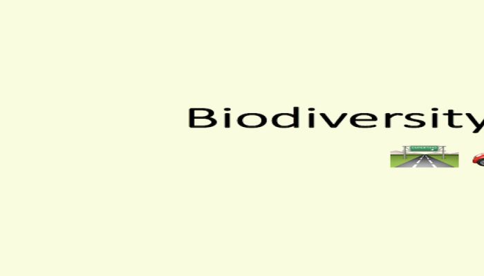 The roll-out of market-based environmental management in the European Union
