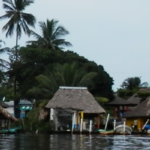Unravelling the performance of co-managed small-scale fisheries. A case study in La Encrucijada Biosphere Reserve, Mexico