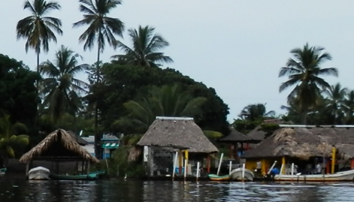 Unravelling the performance of co-managed small-scale fisheries. A case study in La Encrucijada Biosphere Reserve, Mexico
